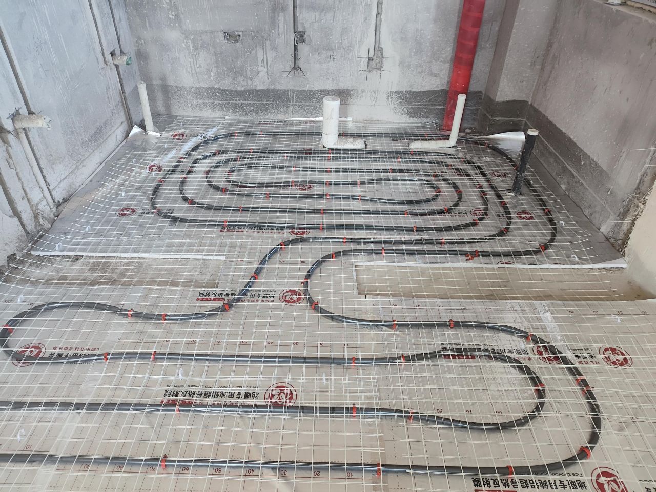 1722587925664927.jpg 1722587925664927.jpg