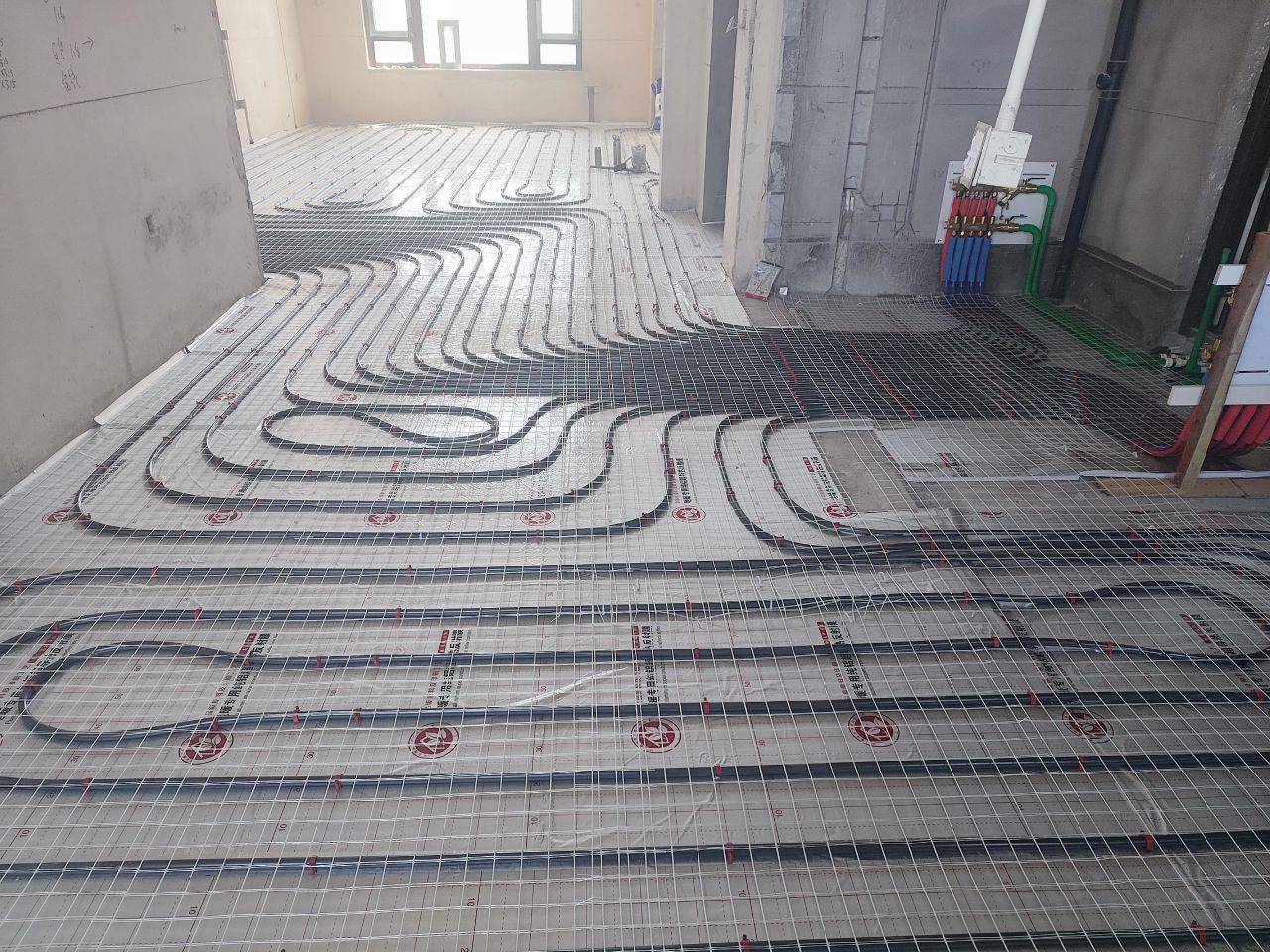 1722587931490782.jpg 1722587931490782.jpg